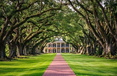 Oak Alley Plantation